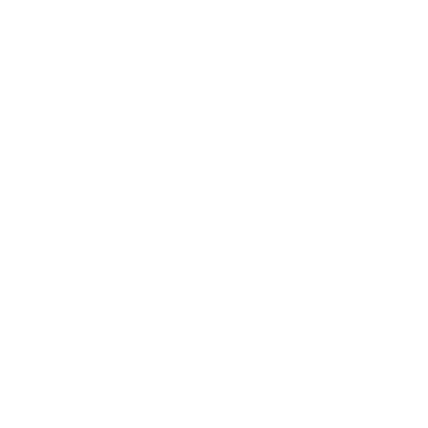 Logo White